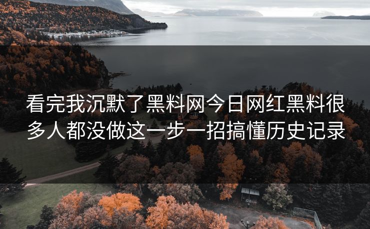看完我沉默了黑料网今日网红黑料很多人都没做这一步一招搞懂历史记录
